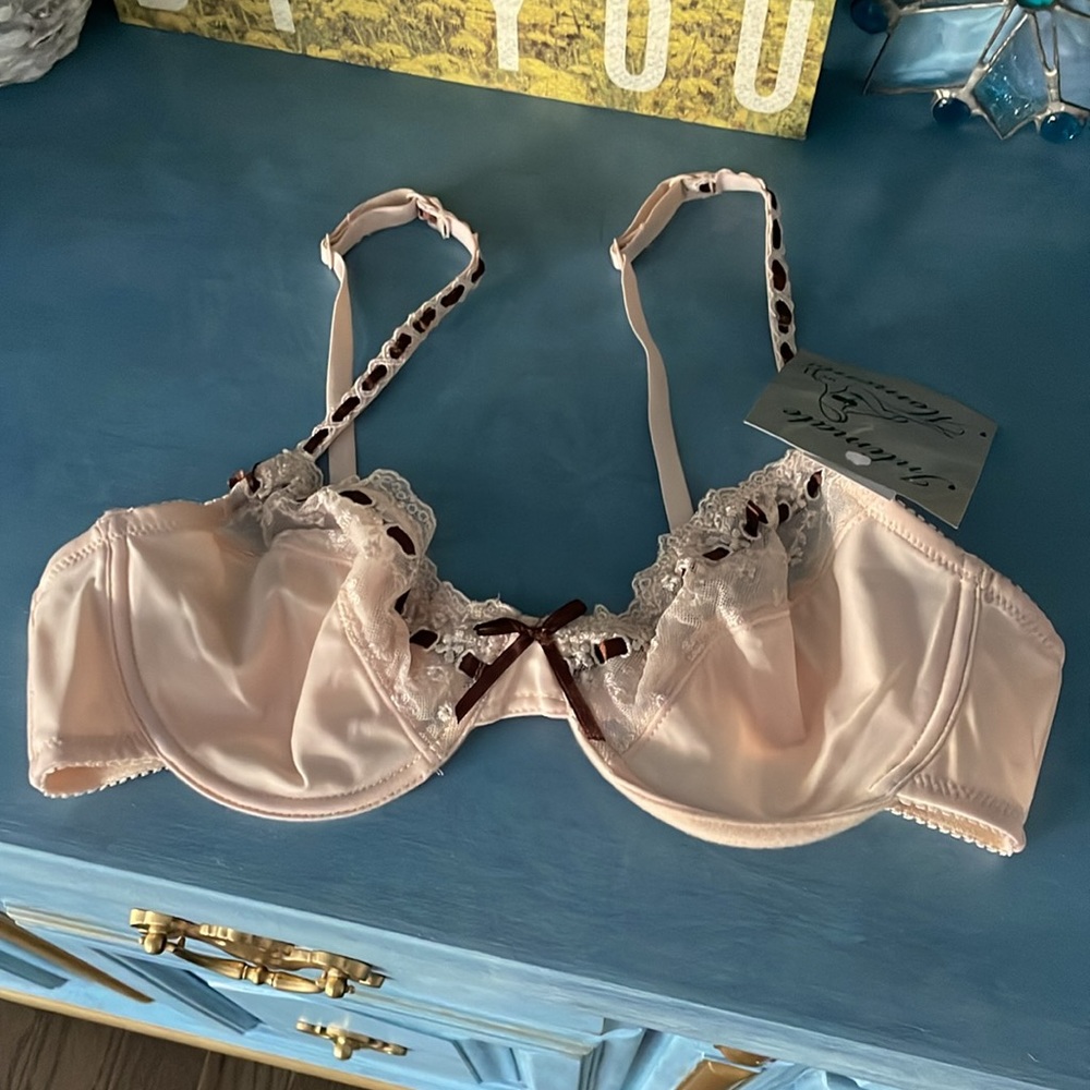 intimate moments by JL Bra nwt underwire lace sexy bra